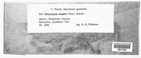 Image Associated With the Occurence